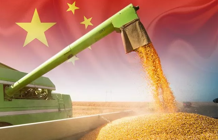 MERCADO: China aumenta a importação de soja e outras commodities