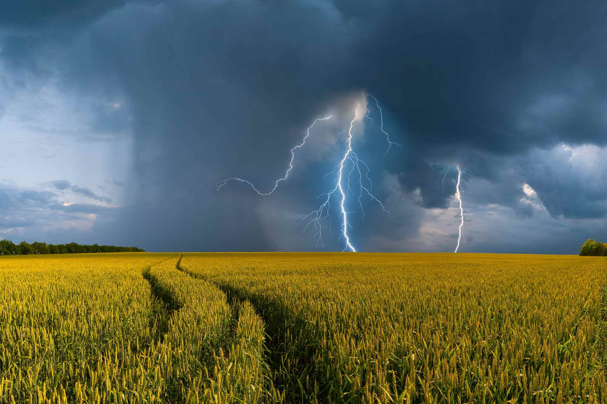 NOVO: Agricultor poderá ter seguro baseado nas variações do clima