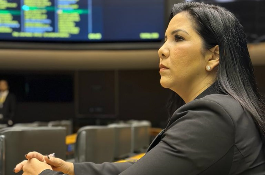AÇÕES: Cristiane Lopes completa 100 dias de mandato como Deputada Federal