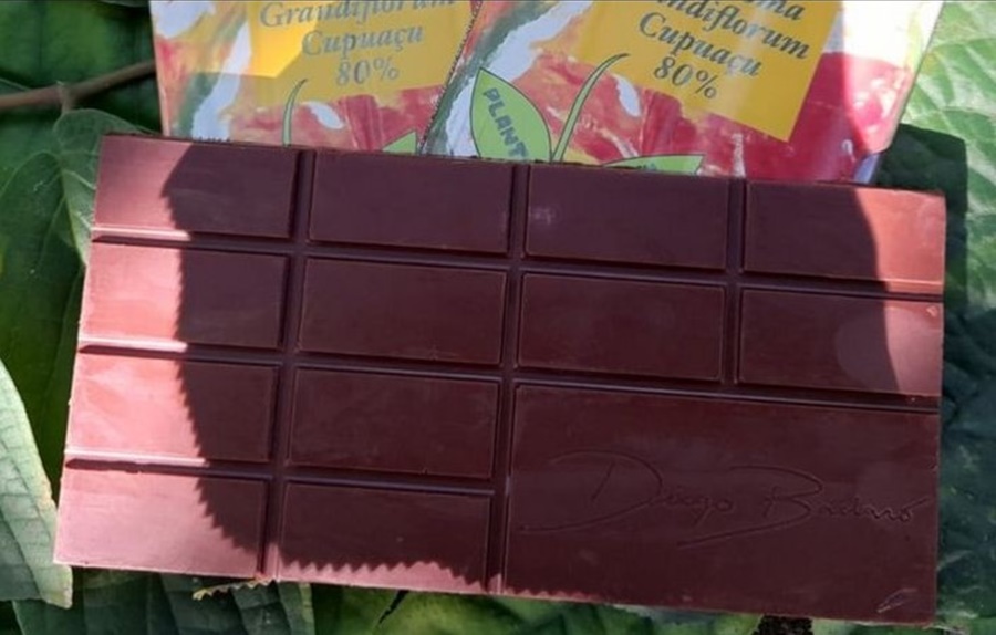 NOSSO: Cupulate é o chocolate da Amazônia que pode ajudar a economia local