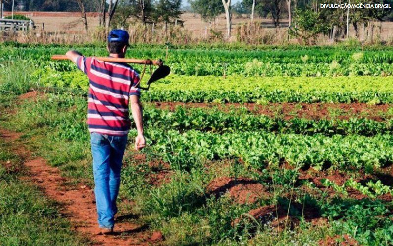 AGRICULTURA: Desenrola Rural ultrapassa meta e soma 313 mil renegociações de dívidas