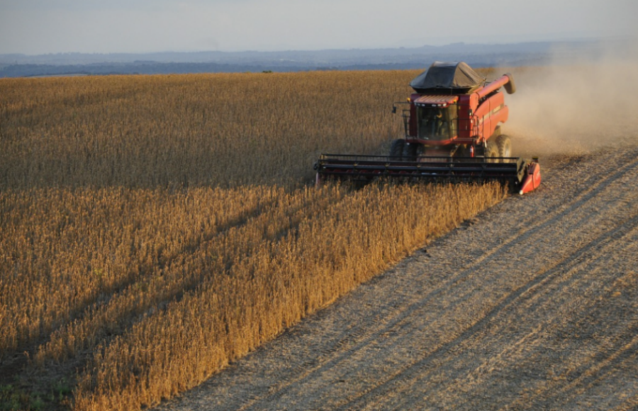 DISPUTA: Justiça decide que produtores de soja vão receber R$ 1,3 bi de multinacional