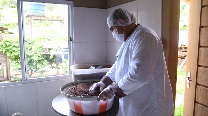 AGROINDÚSTRIA: Empresa de chocolate artesanal movimenta o cenário agrícola