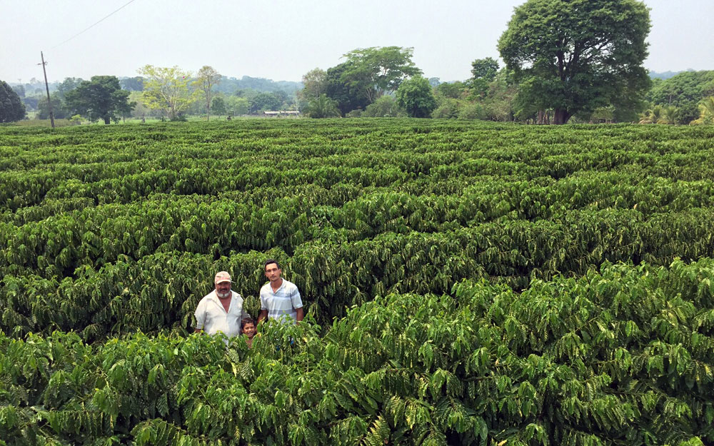 NOTA DE PESAR  -   CDL Porto Velho