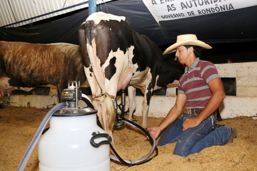 EXPOJIPA: Emater estimula produtor rural com premiação de R$ 16 mil em concurso leiteiro