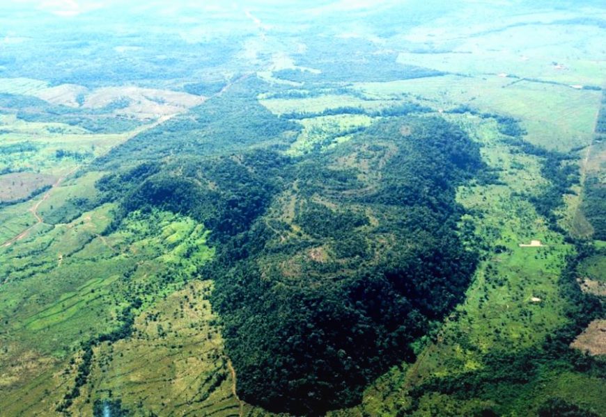  ANIVERSÁRIO:  Alta Floresta do Oeste comemora 35 anos consolidando antigo fluxo migratório