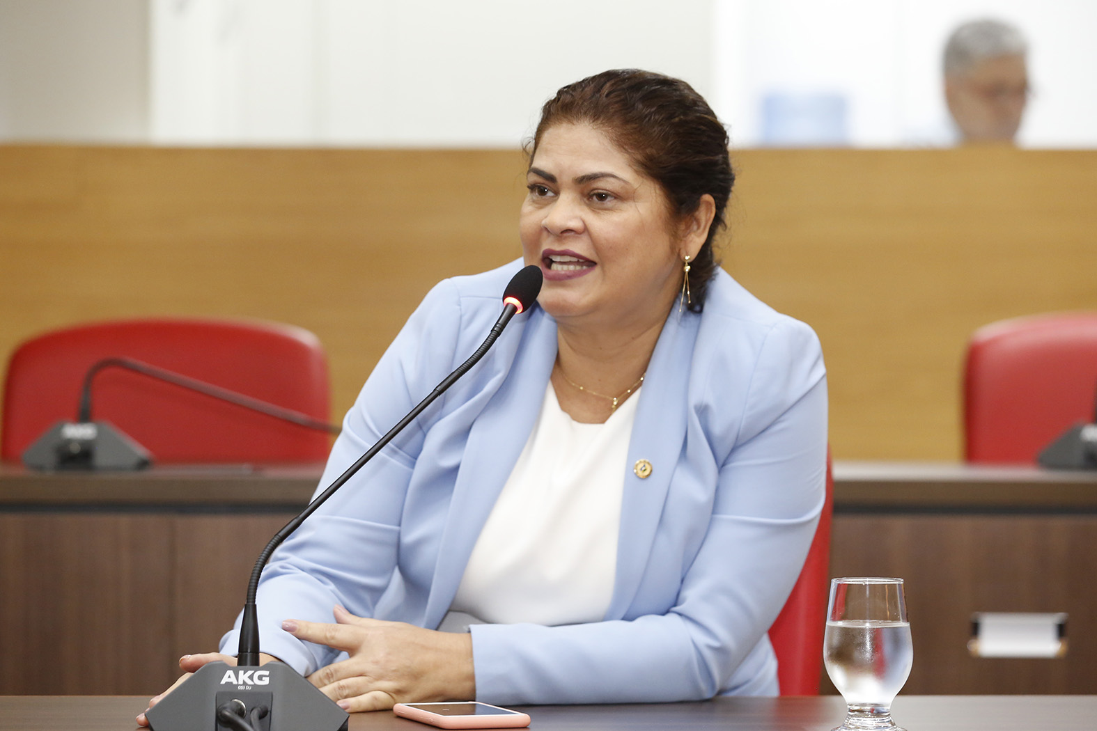 TRÁFEGO: Cássia Muleta indica construção de ponte de concreto na linha 610, em Jaru