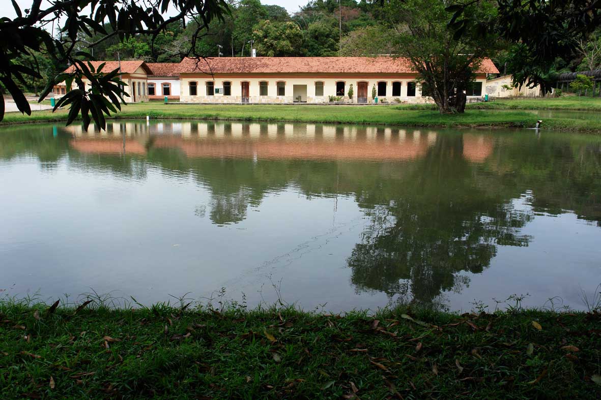 TURISMO: Jardim Botânico é oportunidade para ter contato com a natureza