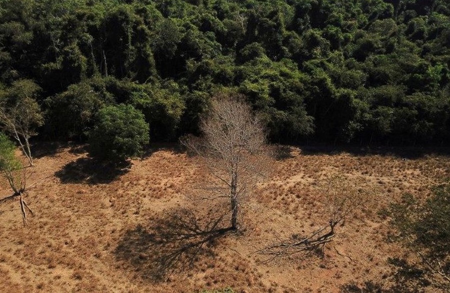 MEIO AMBIENTE: Combate ao desmatamento é prioridade para mitigar mudanças climáticas