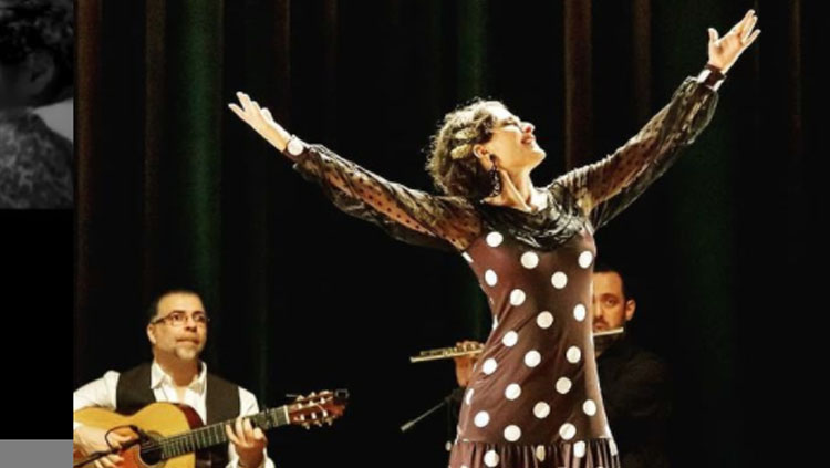 GESTO FLAMENCO: Pesquisadora lança livro que contribui para o pensamento crítico das artes cênicas