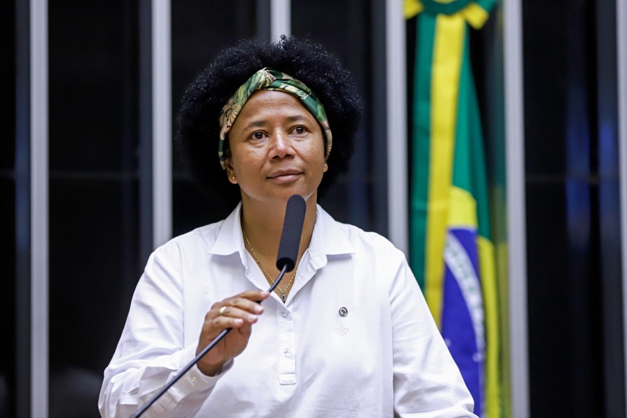 SILVIA CRISTINA: Audiência pública debate proposta de desestatização da hidrovia do Madeira