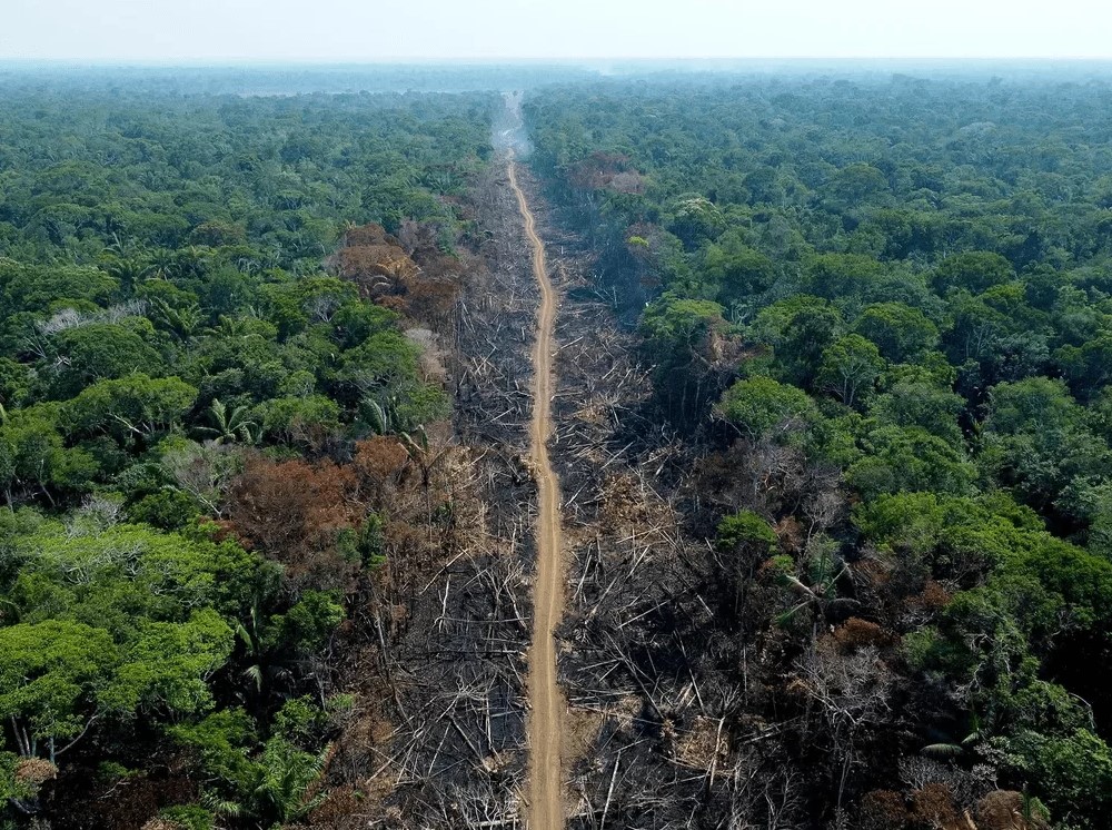 MEIO AMBIENTE: INPE destaca que desmatamento em RO cresceu 422% em julho