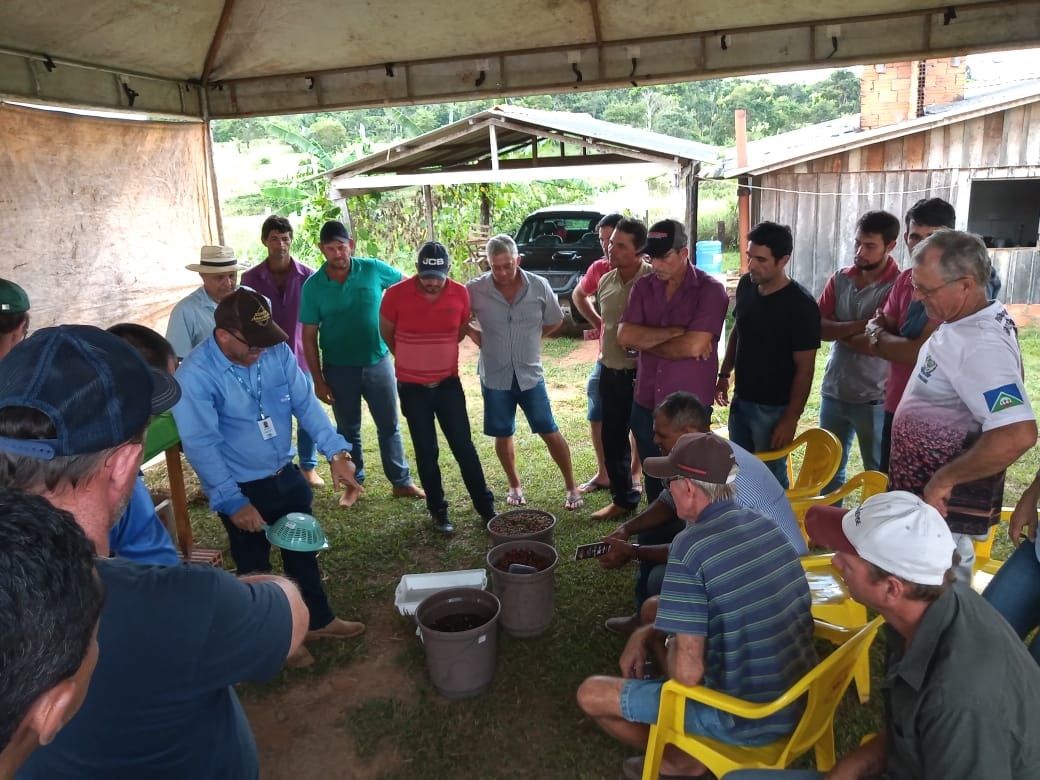 ALTA FLORESTA DO OESTE: Boas práticas no manuseio do café são apresentadas em Dia de Campo