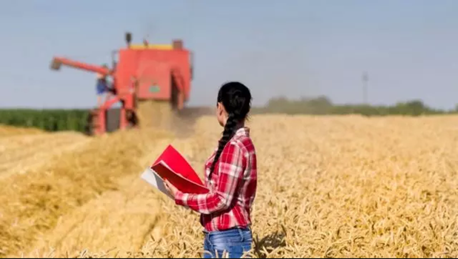 ELAS: Mulheres ganham espaço no agronegócio no país