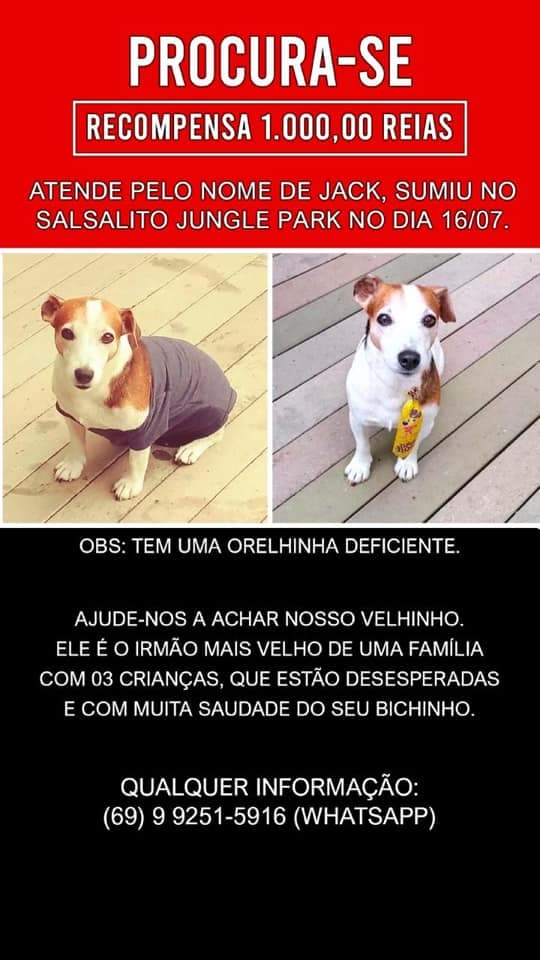 PROCURA-SE: Donos oferecem recompensa de R$ 1 mil para quem encontrar cachorro