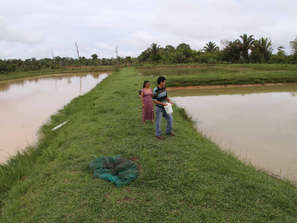 USO DE ÁGUA: Autorização para uso de água já pode ser emitida online pelo produtor rural