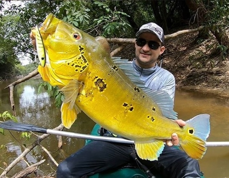 PESCA ESPORTIVA: Porto Velho recebe grandes pescadores do país