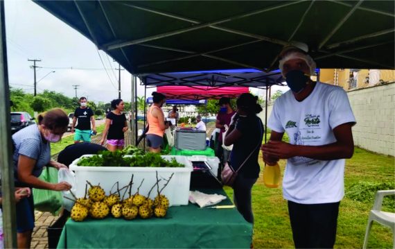 Guadalupe Comercio Atacadista De Produtos Hortifrutigranjeiros