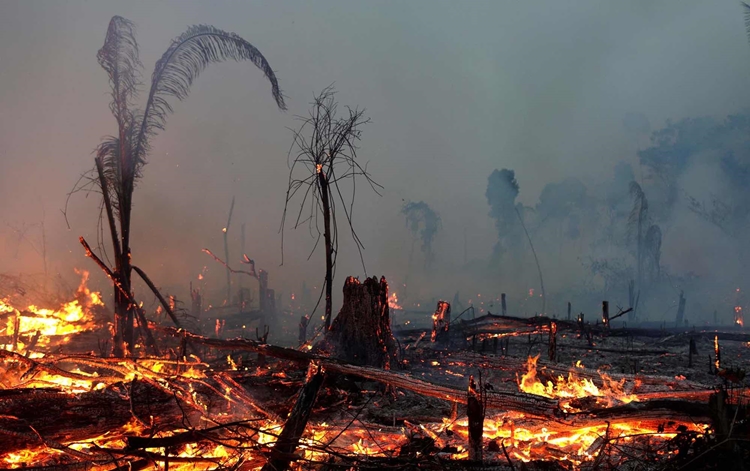 DESTRUIÇÃO: Porto Velho é a 5ª cidade no país com mais queimadas, segundo INPE