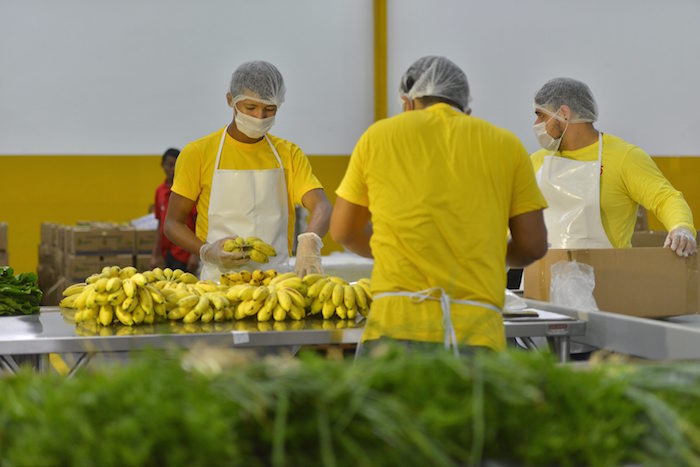 A PARTIR DE HOJE: Frutas regionais são utilizadas na merenda escolar em RO