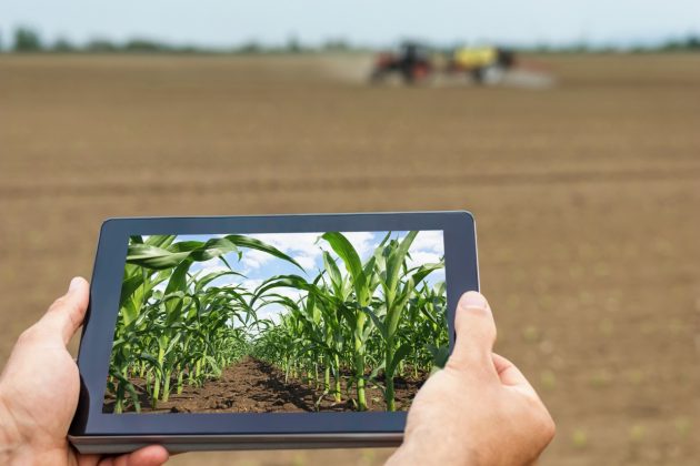 APERFEIÇOAMENTO: Abertas as inscrições para bolsas no curso superior de Agrocomputação