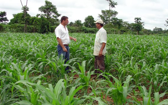 IDEIAS: Dia de Campo irá orientar produtores rurais  sobre gestão de propriedade