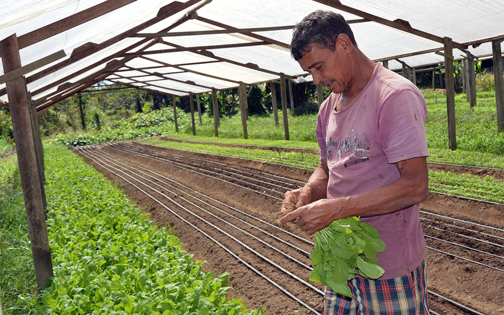 ATER: Proater insere agricultura de Rondônia em patamar tecnológico