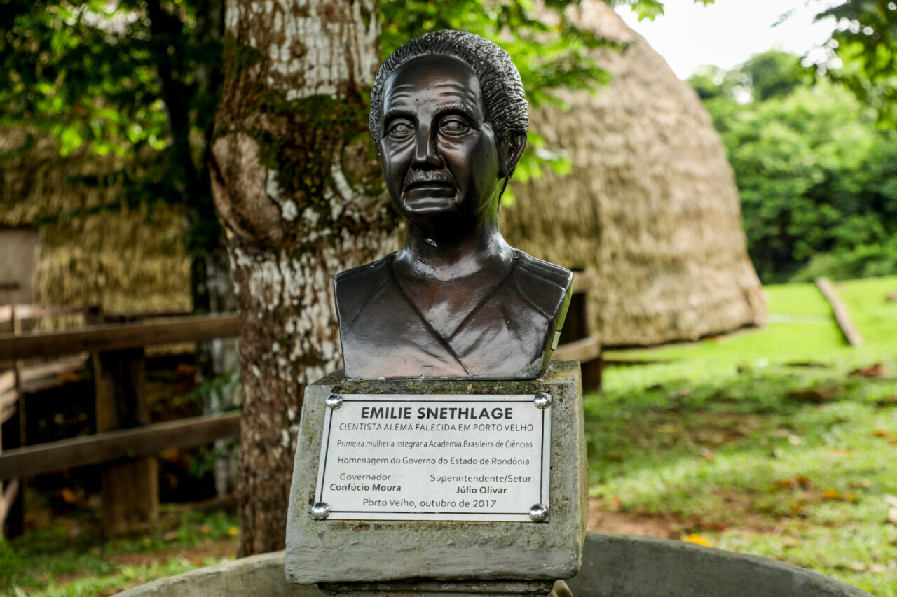 Busto da primeira mulher a compor a Academia Brasileira de Cientistas integra acervo do Memorial Rondon