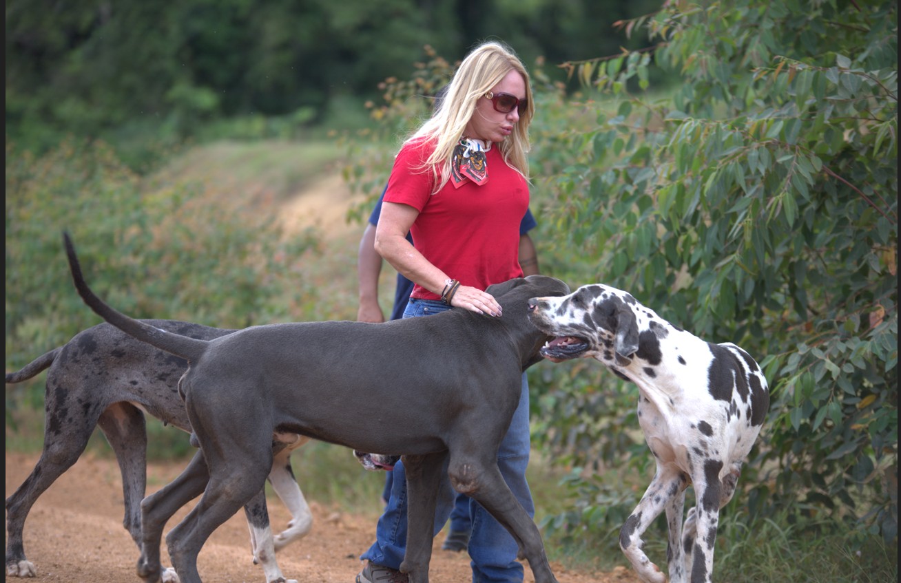 IEDA CHAVES: Deputada convoca população para debate sobre proteção animal em RO na quinta(16)