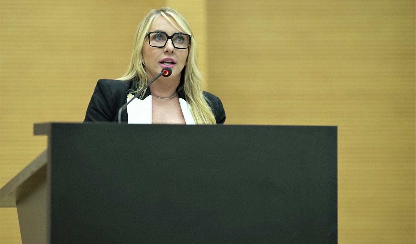 IEDA CHAVES: Deputada solicita R$1 milhão para reforçar atendimento em Cabixi e Vale do Anari