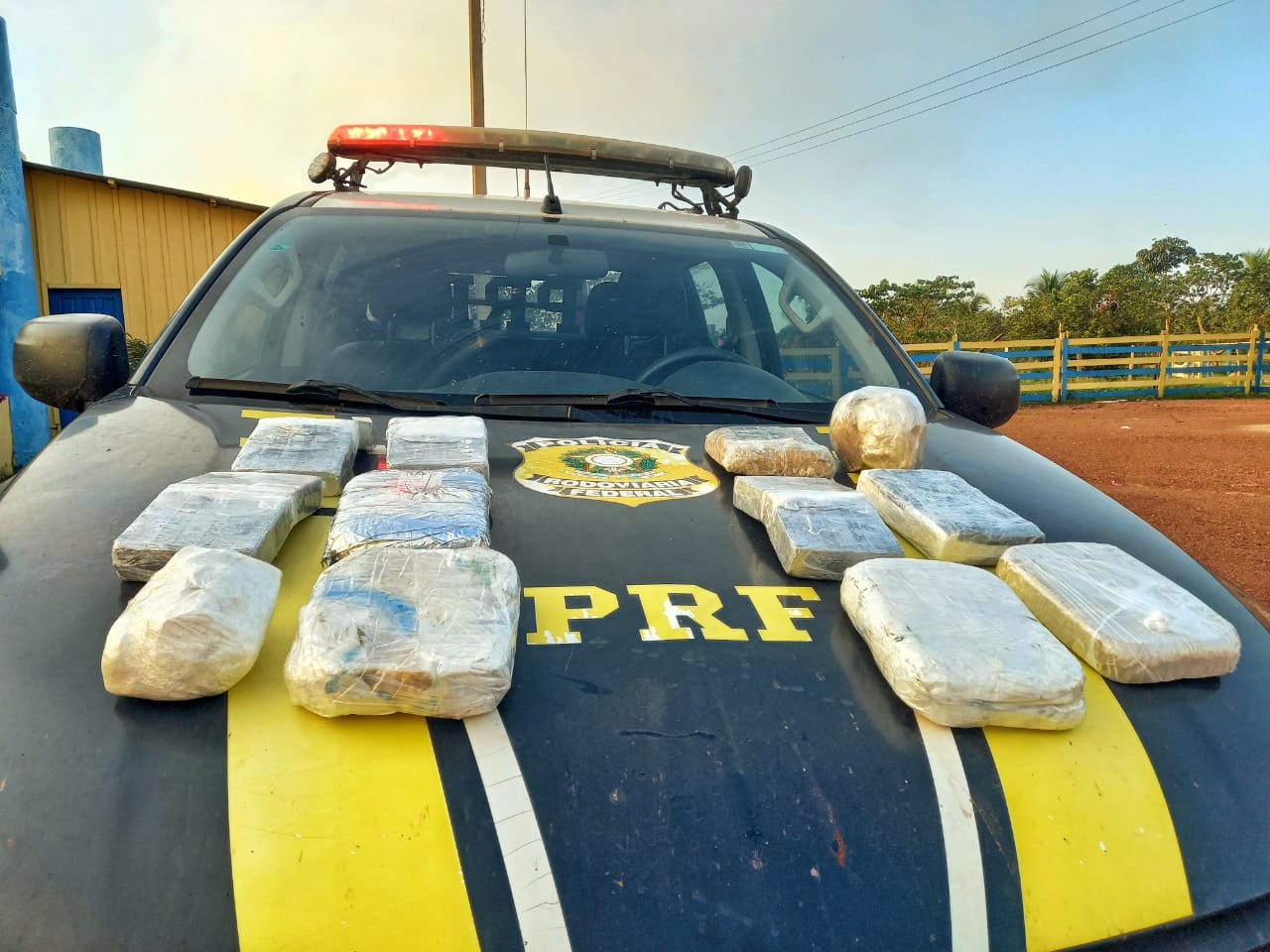 'MULA DO TRÁFICO': Passageira é flagrada em ônibus com mais de 12 quilos de cocaína