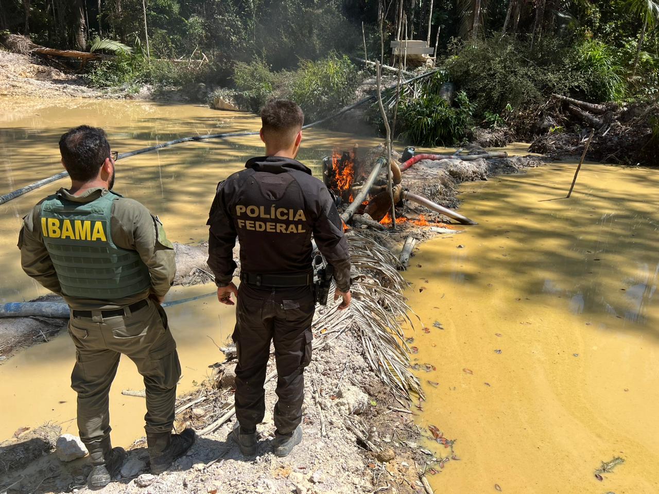 SETEMBRO VERDE: Operação da PF combate garimpo ilegal e extração de madeiras em Terra Indígena 