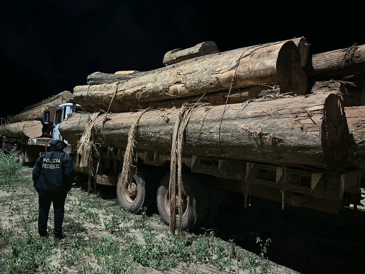 AÇÃO DA PF: Caminhoneiros são presos com madeiras extraídas de Terra Indígena 