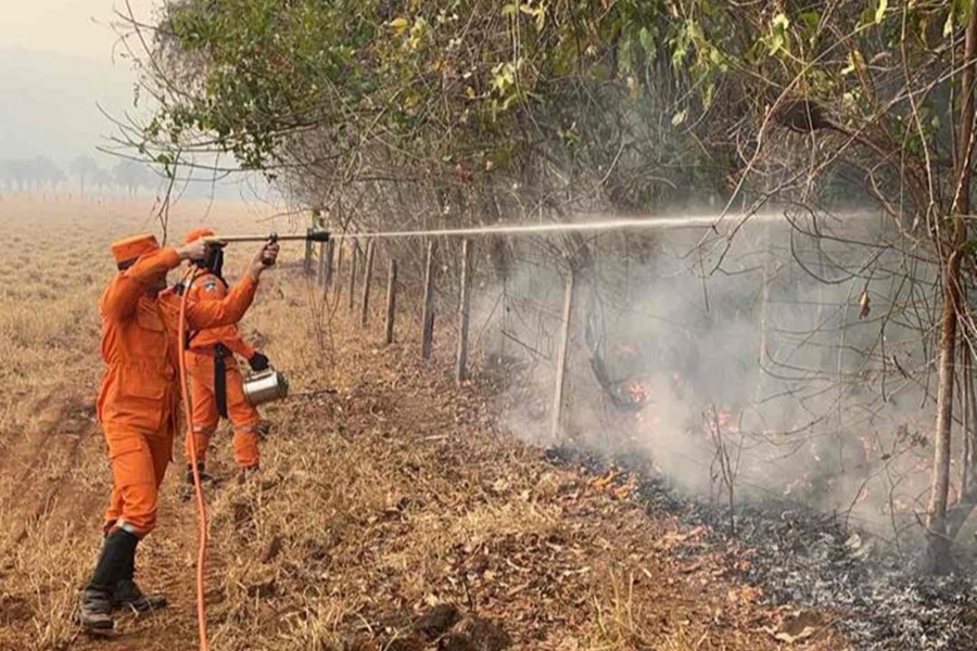 COSTA MARQUES: Corpo de Bombeiros Militar de RO executa ação de combate a incêndio florestal