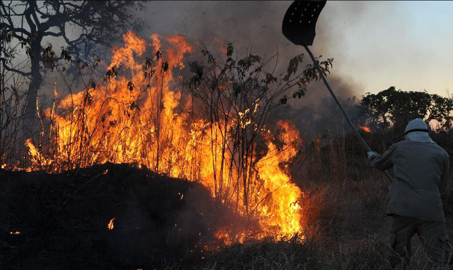 FOGO: Amazônia concentra 90% da área com focos de incêndio no 1º bimestre