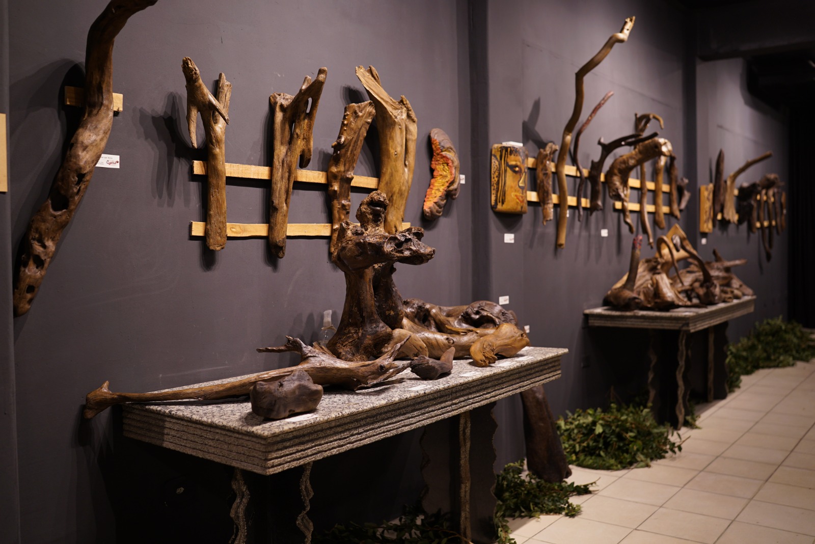 ENTRADA GRATUITA: Nova exposição de arte está em cartaz em Porto Velho