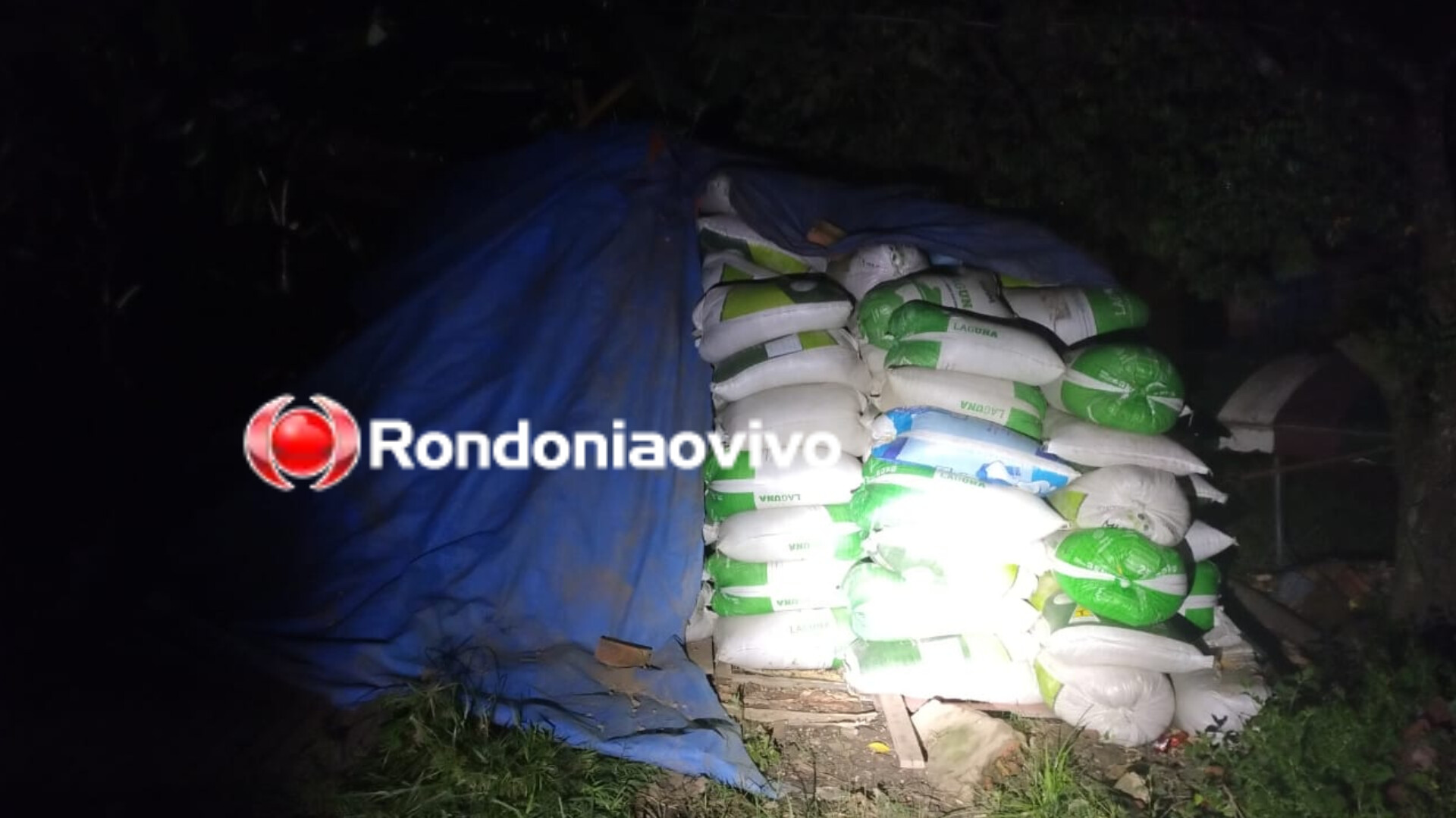VÍDEO: Sete pessoas são presas por furto de dezenas de sacas de soja no rio Madeira 