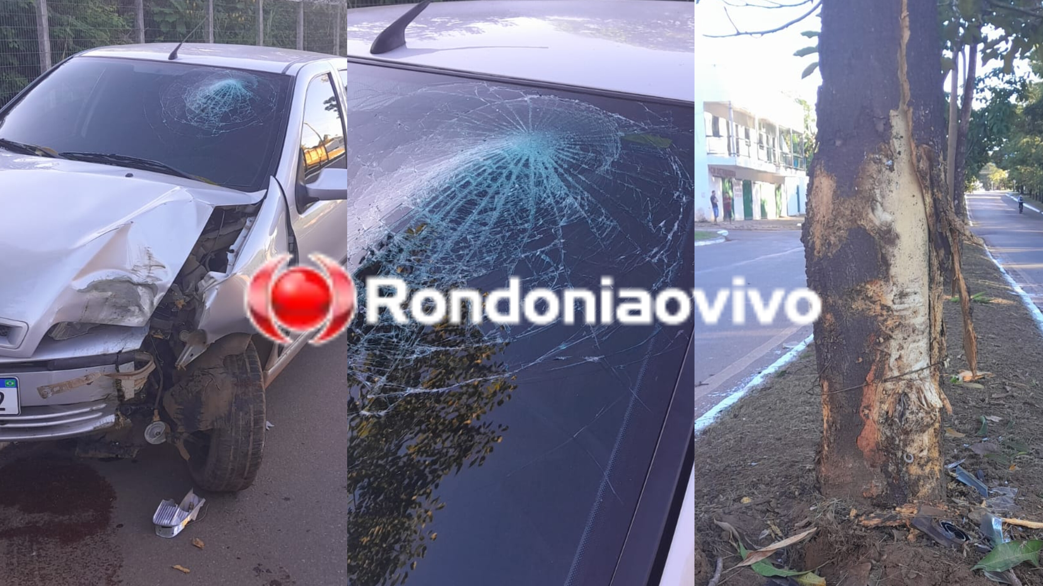 FORTE COLISÃO: Jornalista e amigo ficam feridos após carro bater contra árvore no canteiro central 