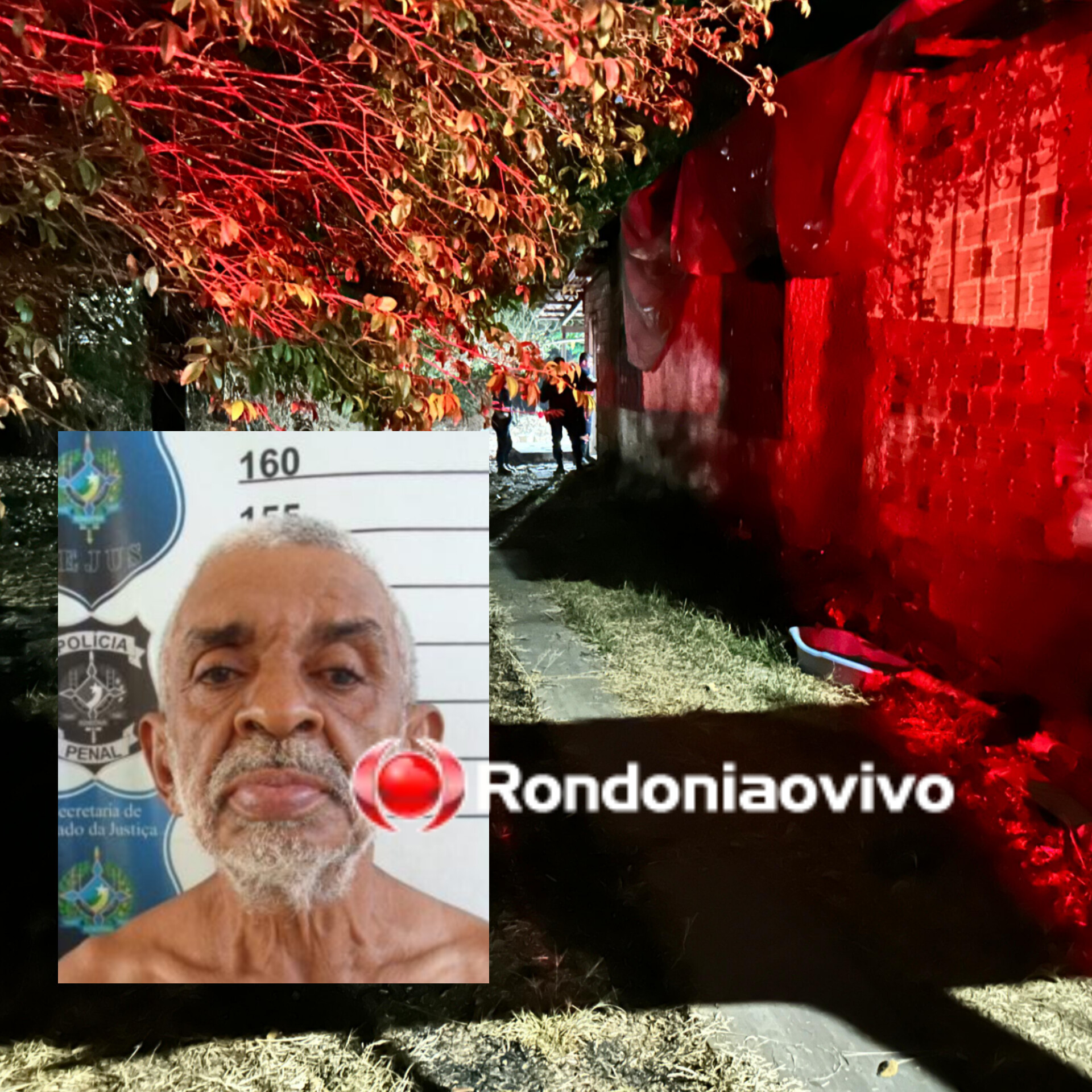 VÍDEO: Homem de 62 anos é assassinado brutalmente em residência