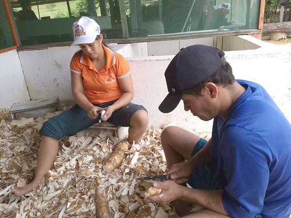 INTERCÂMBIO: Agricultores de Porto Velho têm acesso às novidades da mandiocultura no Acre