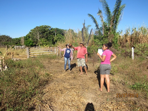 MEIO AMBIENTE - Projeto Viveiro Cidadão: Oportunidade para jovens agricultores