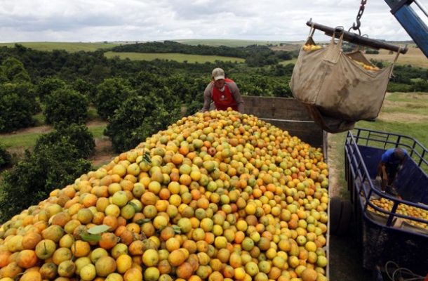 Brasil elevará exportação de suco de laranja em mais de 20% em 17/18, prevê CitrusBR