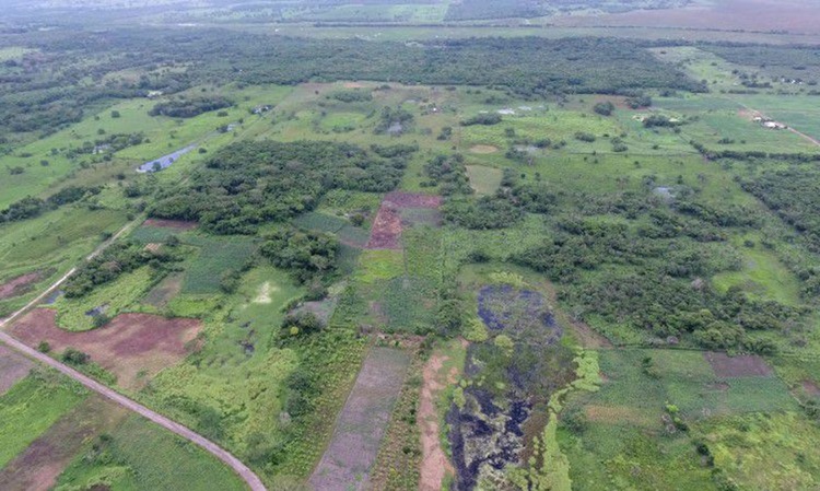 INTRIGANTE: Mais antiga estrutura de civilização maia é encontrada no México