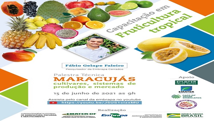 YOU TUBE: Curso em fruticultura tropical começa com a cultura do maracujá