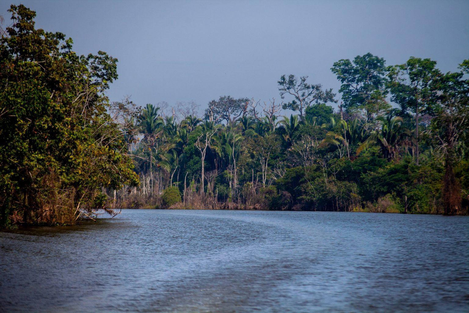 CONTROVÉRSIA: PGE de Rondônia aponta ilegalidades em projeto que reduz UCs no estado