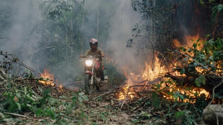 URU-EU-WAU-WAU: Doucumentário 'O Território'  será exibido na Mostra Pan-Amazônica de Cinema