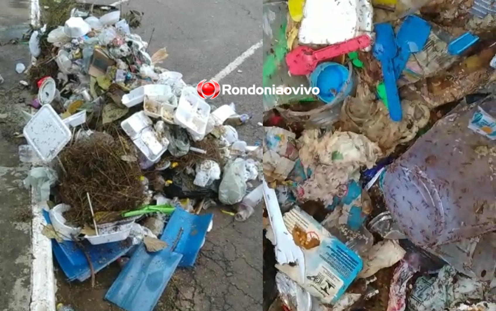 NA PRAÇA ALUÍZIO: Lixo cheio de tapurus é jogado na rua por falta de sacos para coleta