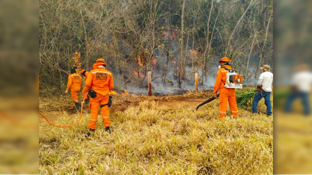 VERDE RONDÔNIA: Corpo de Bombeiros divulga balanço de operação com quase 1,5 mil combates a fogo 