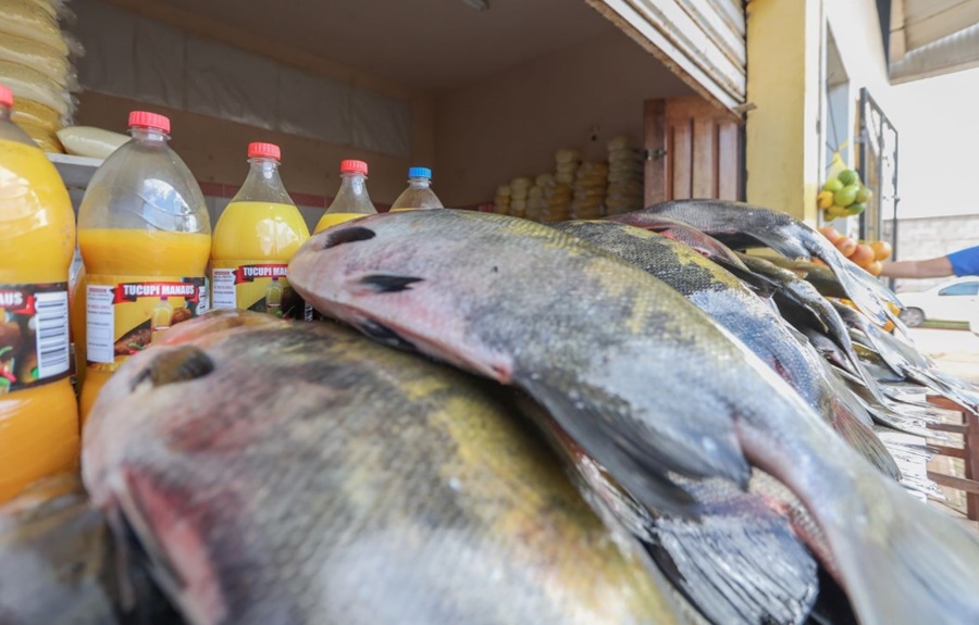 TRADIÇÃO: Veja onde ocorrem as feiras livres para a compra de peixes em Porto Velho