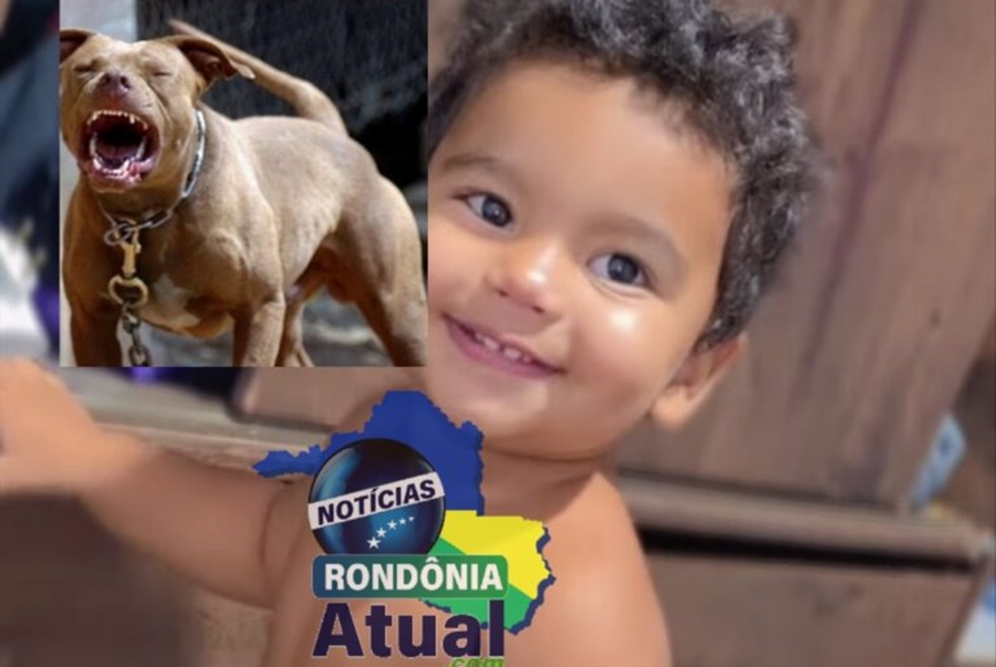 TRAGÉDIA: Bebê de dois anos é morto por Pit Bull na tarde de ontem (30)